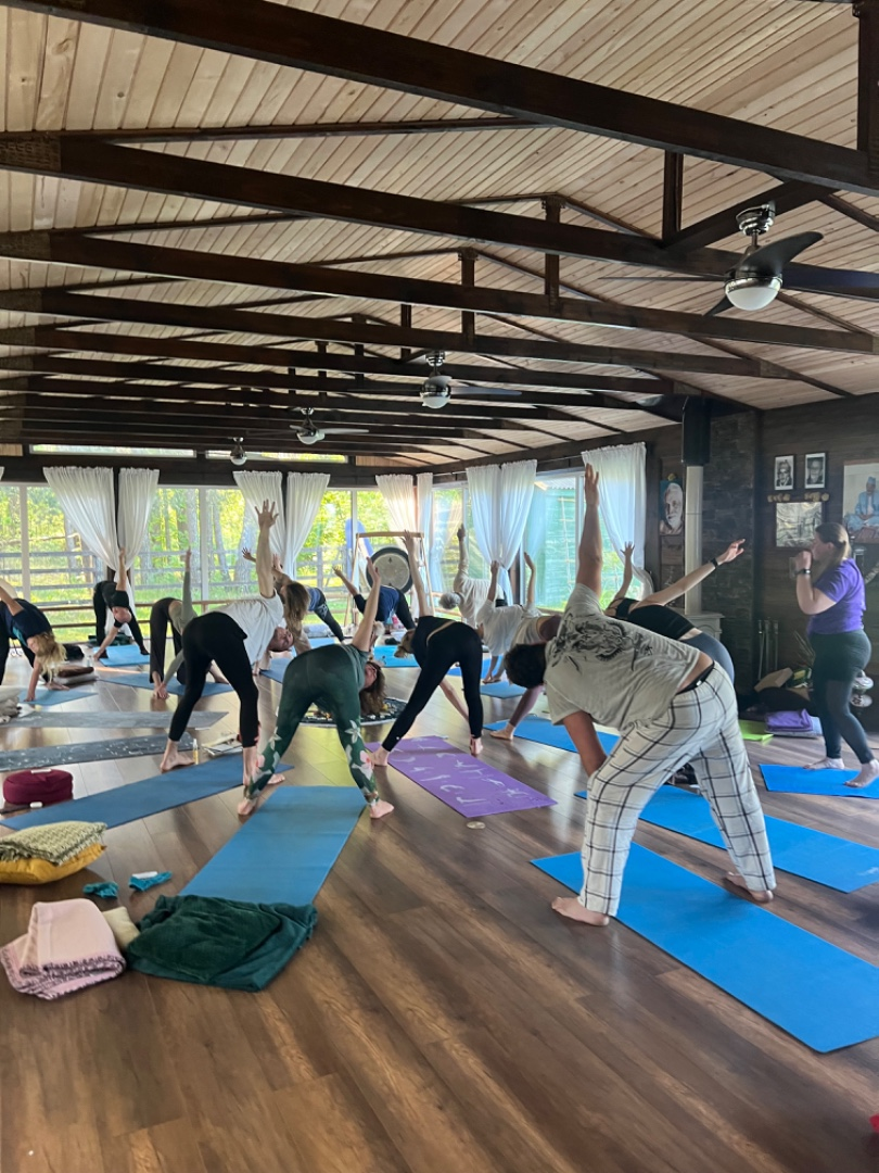 Galerijos nuotrauka 6