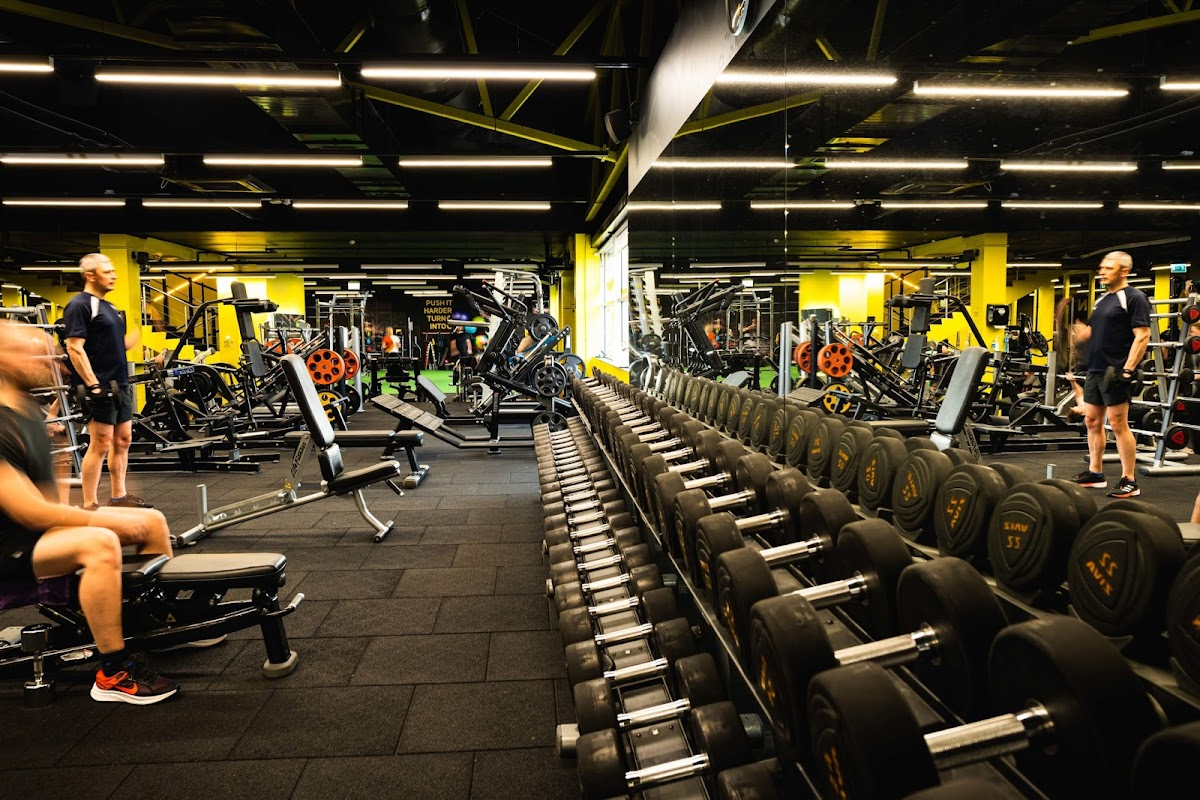 Lemon Gym Banginis