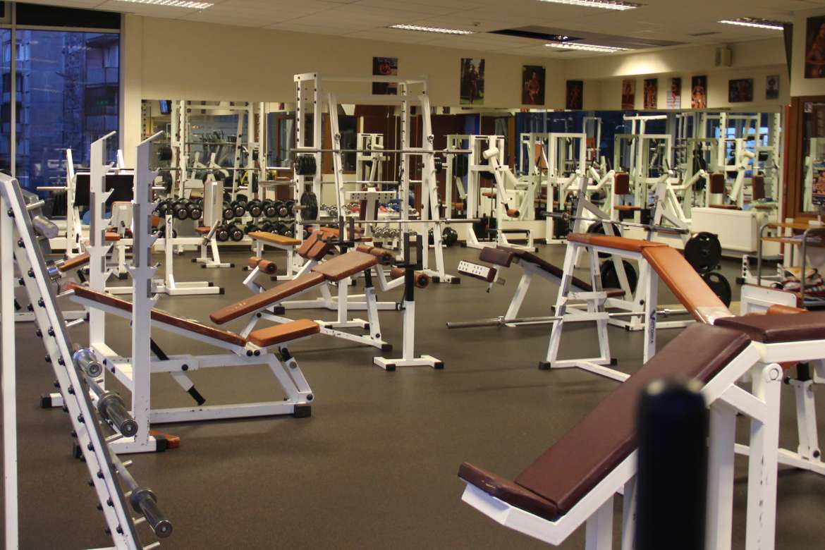 Minotaur sports club