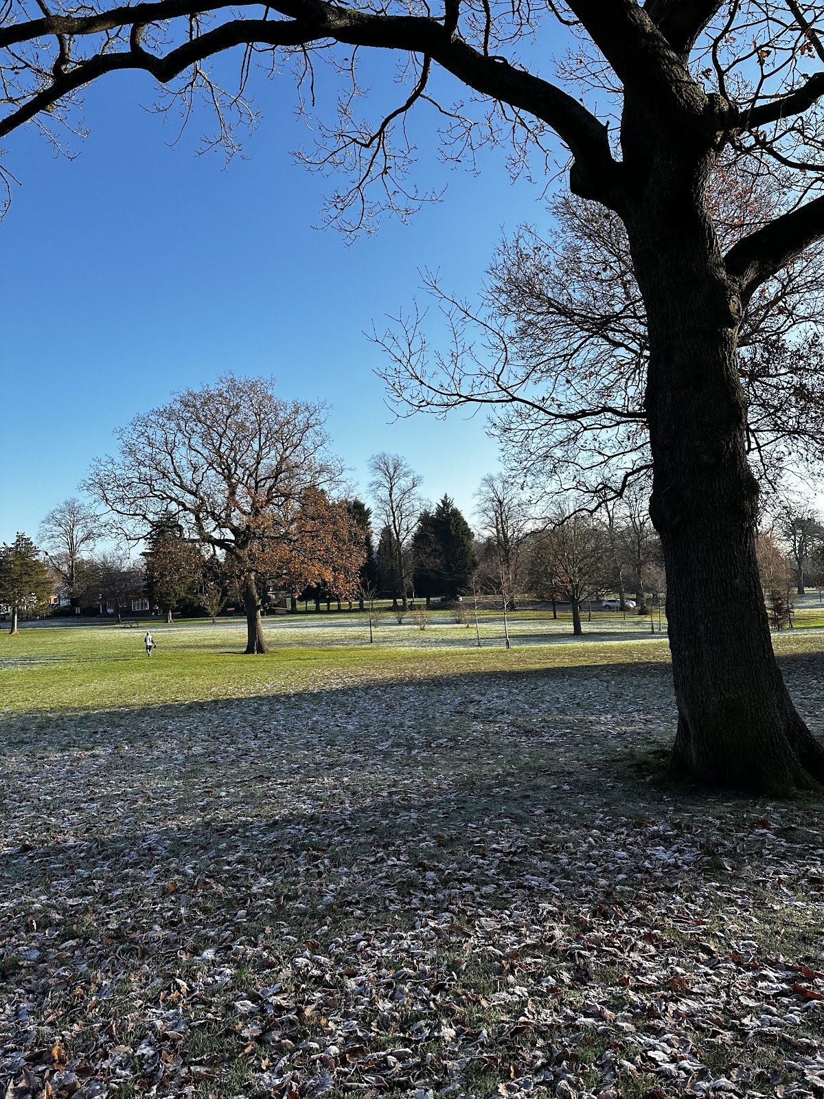 John Hill - Women on the Move