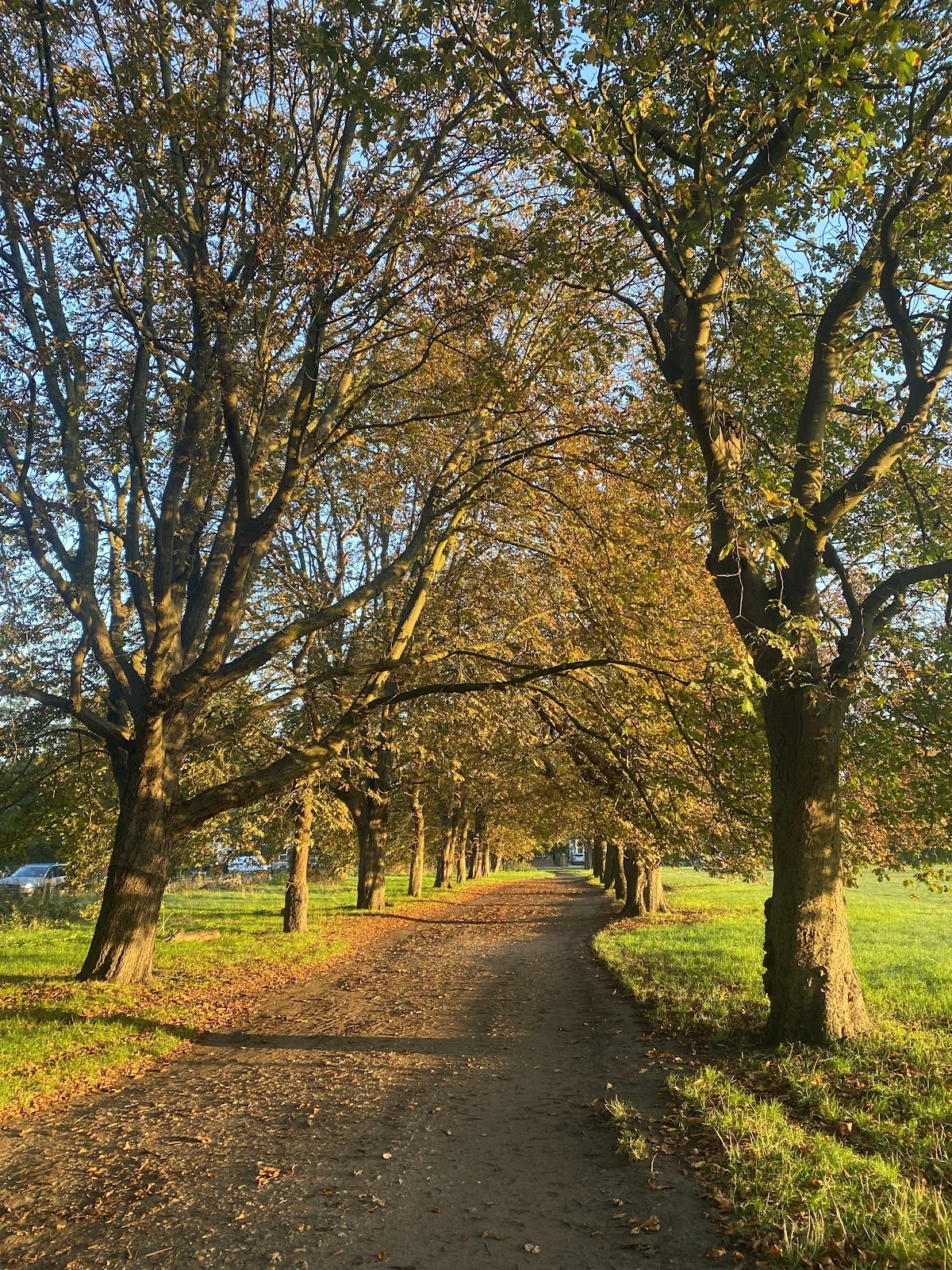 Amy Knipe Personal Trainer