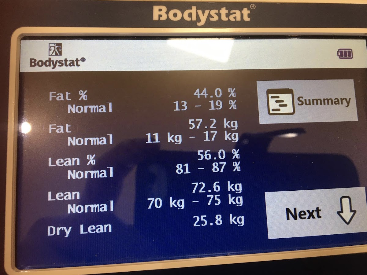 Seanie's Wellness and Fitness Services